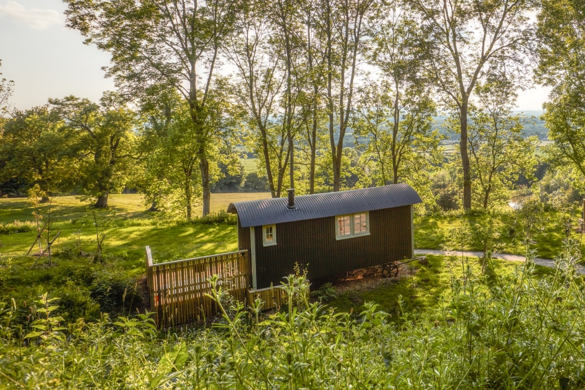 The Fish The Cotswolds Uk 6