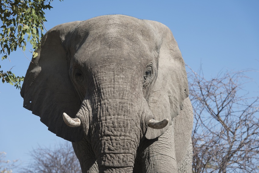 Little Ongava Etosha Namibia 8