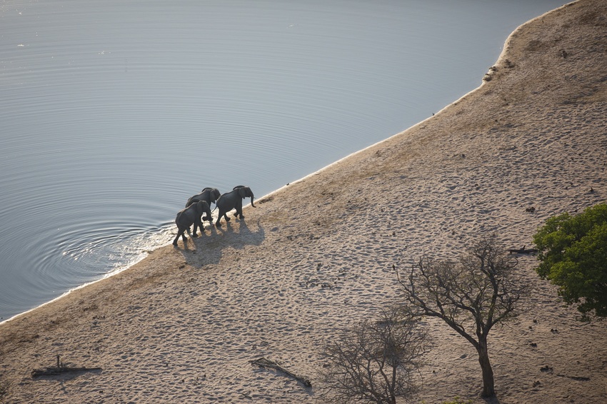 Nambwa Tented Lodge Bwabwata National Park Namibia 17 Nambwa Activities Elephants At Horseshoejpg