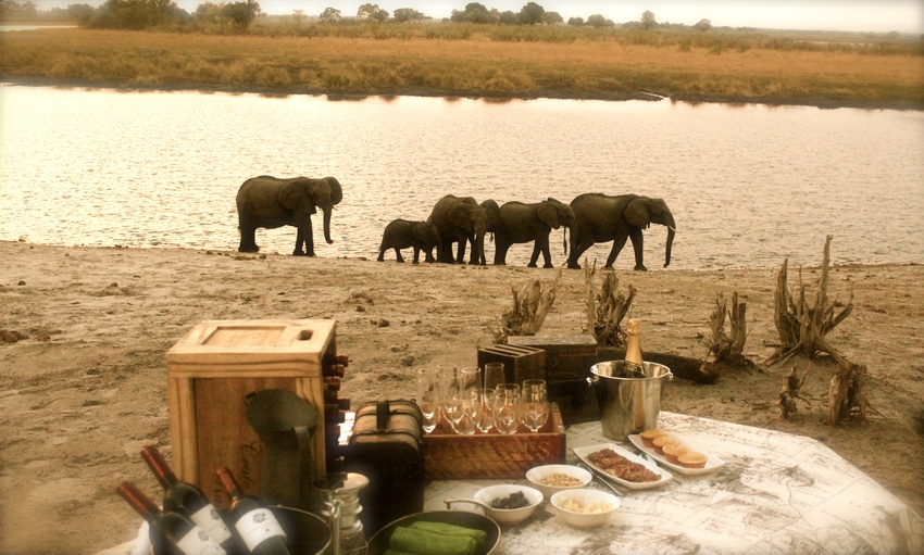 Nambwa Tented Lodge Bwabwata National Park Namibia 21 Nambwa Activities Sundowners With Elephantsjpg