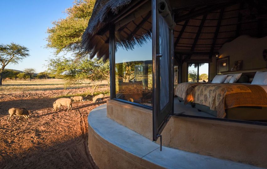 Okonjima Bush Camp Damaraland Namibia 19