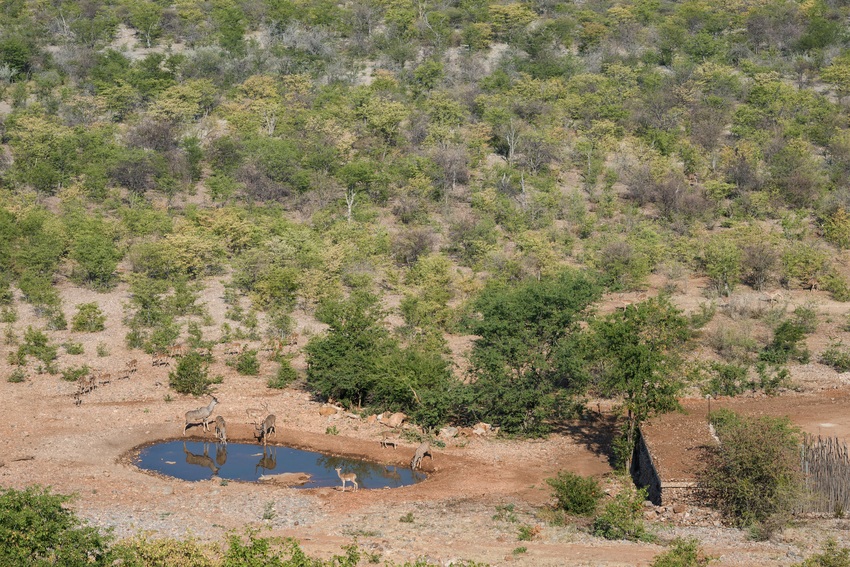 Little Ongava Etosha Namibia 20