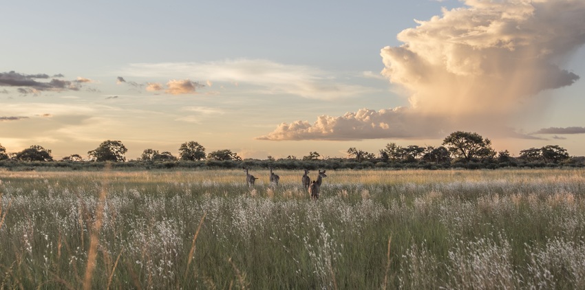 Nambwa Tented Lodge Bwabwata National Park Namibia 30Nambwa Tented Lodge View