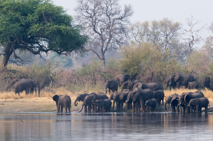 Nambwa Tented Lodge Bwabwata National Park Namibia 20210 Hb Hb1 8398Chelgebendl