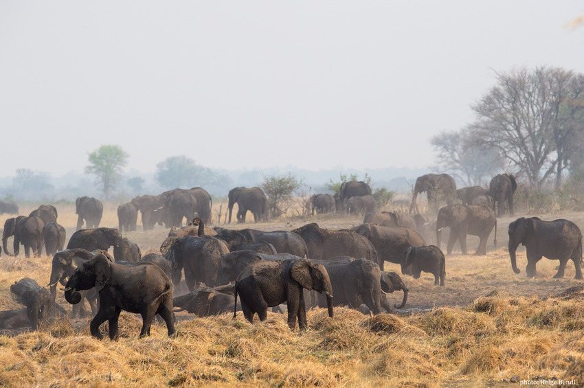 Nambwa Tented Lodge Bwabwata National Park Namibia 20210 Hb Hb1 8411Chelgebendl