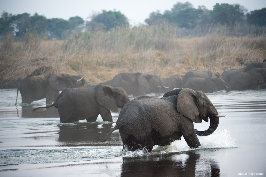 Nambwa Tented Lodge Bwabwata National Park Namibia 20210 Hb Hb2 5488Chelgebendl