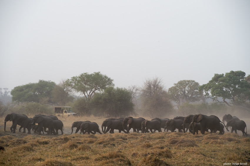 Nambwa Tented Lodge Bwabwata National Park Namibia 20210 Hb Hb2 5632Chelgebendl