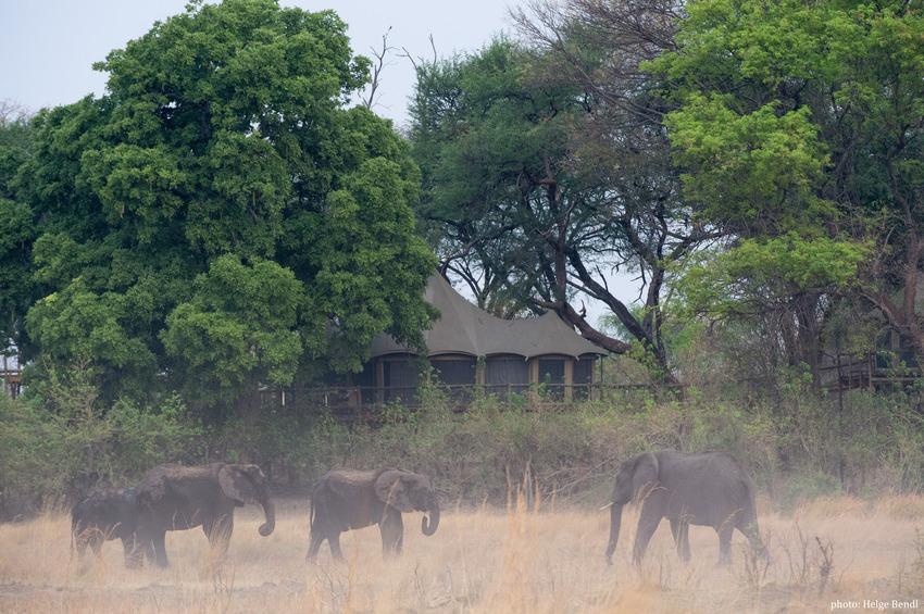 Nambwa Tented Lodge Bwabwata National Park Namibia 20210 Hb Hb2 5641Chelgebendl