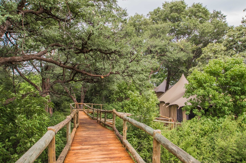 Nambwa Tented Lodge Bwabwata National Park Namibia 8 Nambwa Tented Lodge Walkway