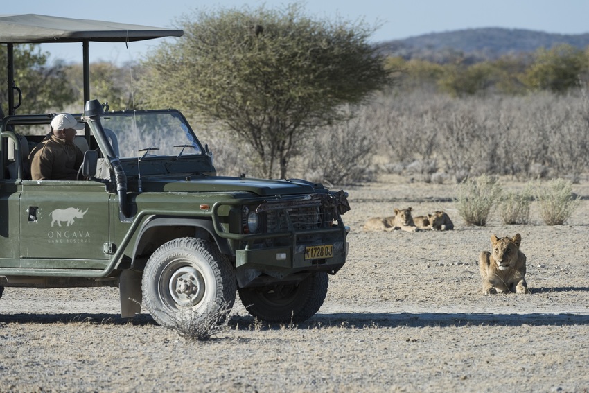 Little Ongava Etosha Namibia 51