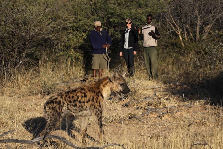 Okonjima Bush Suite Damaraland Namibia 4