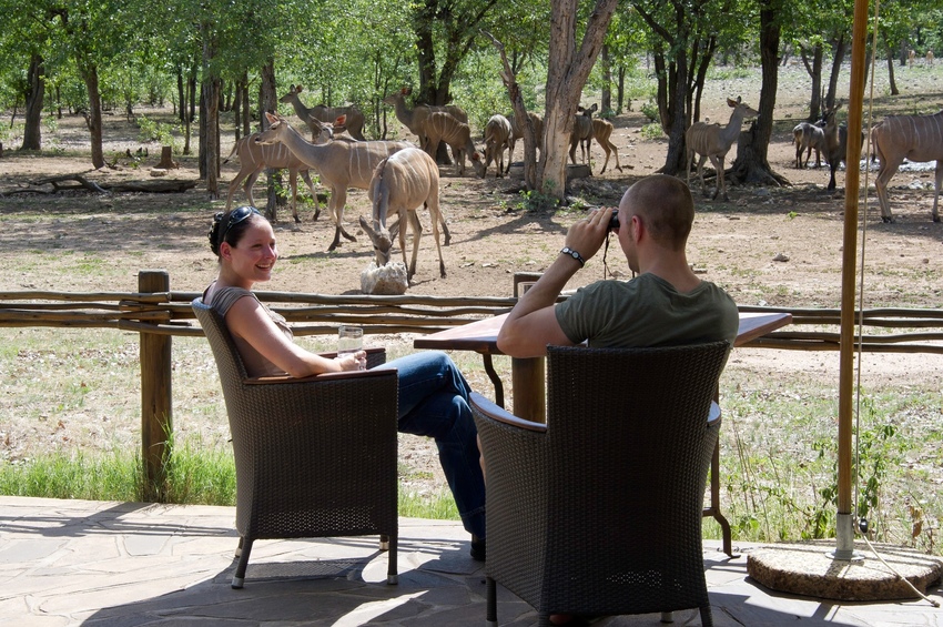 Ongava Tented Camp Etosha Namibia 7