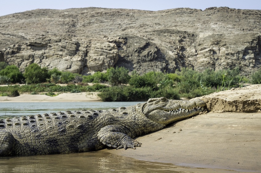 Serra Cafema Skeleton Coast Namibia 18