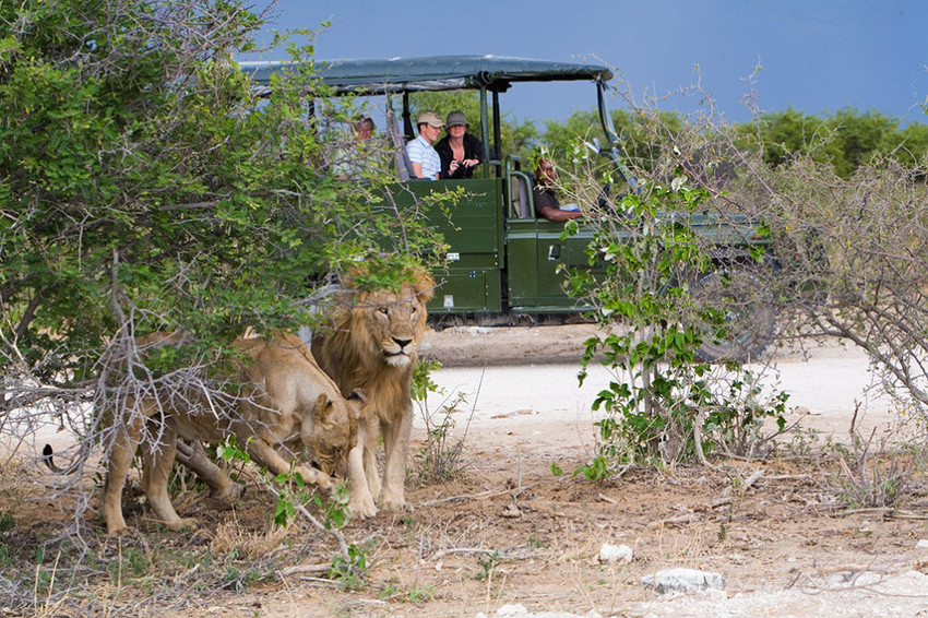 Mushara Outpost Etosha Namibia 13
