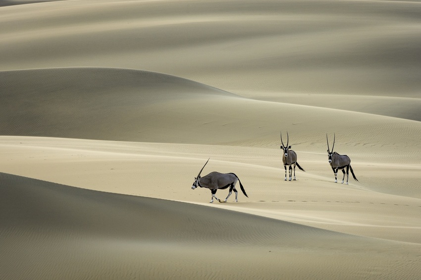 Serra Cafema Skeleton Coast Namibia 19