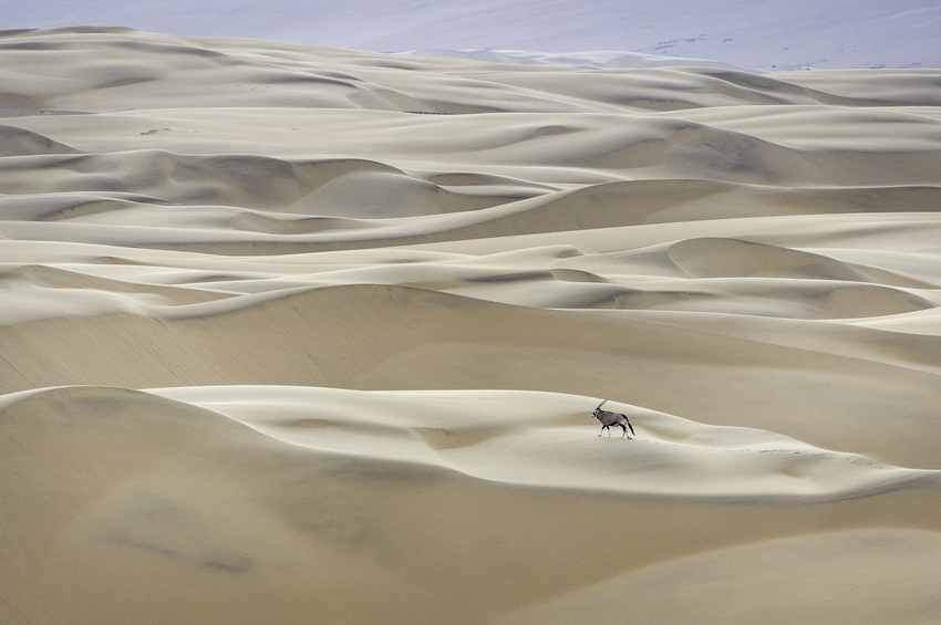 Serra Cafema Skeleton Coast Namibia 20