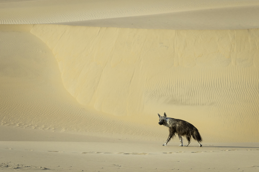 Serra Cafema Skeleton Coast Namibia 21