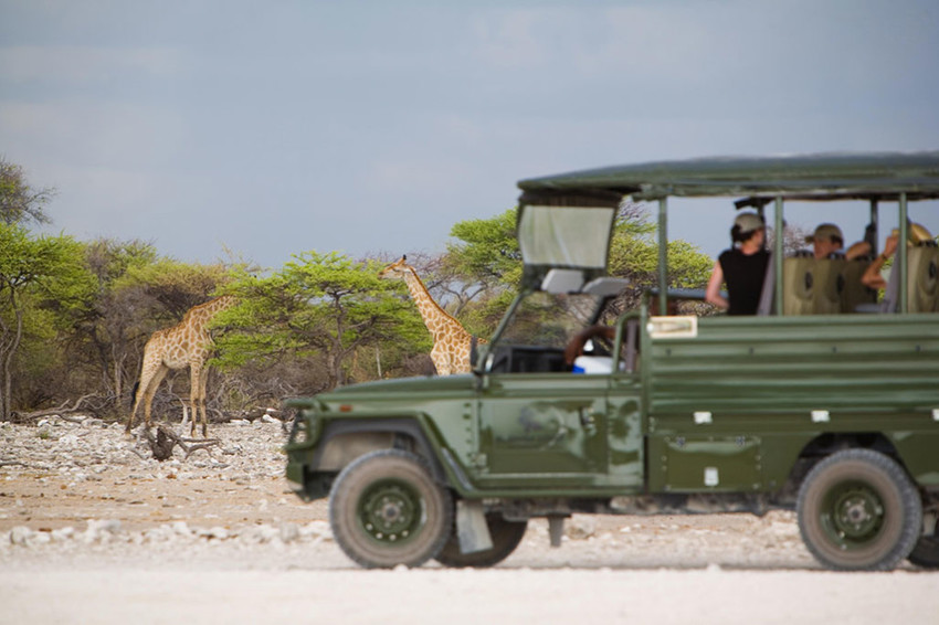 Mushara Outpost Etosha Namibia 17