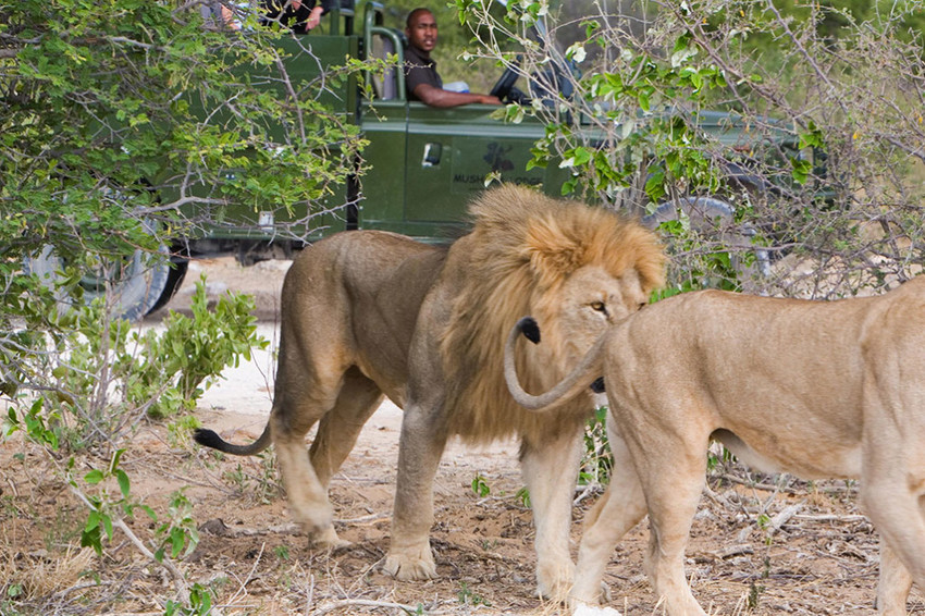 Mushara Outpost Etosha Namibia 18