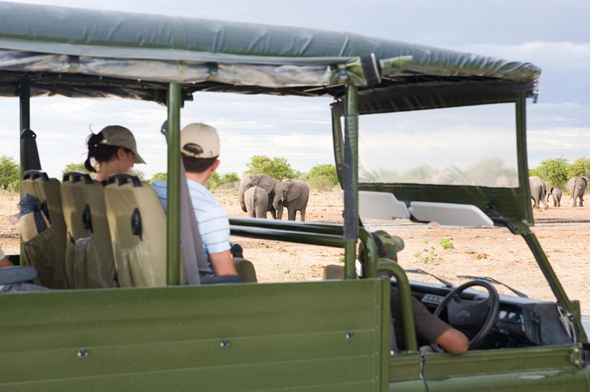 Mushara Outpost Etosha Namibia 19