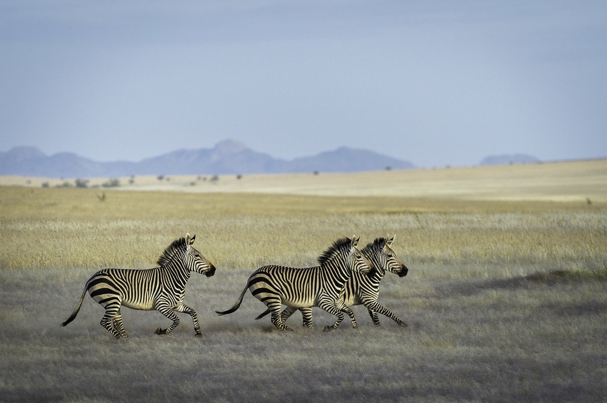 Serra Cafema Skeleton Coast Namibia 28