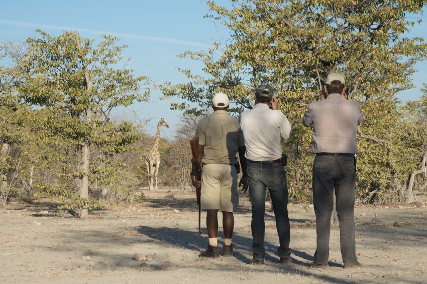 Ongava Tented Camp Etosha Namibia 35
