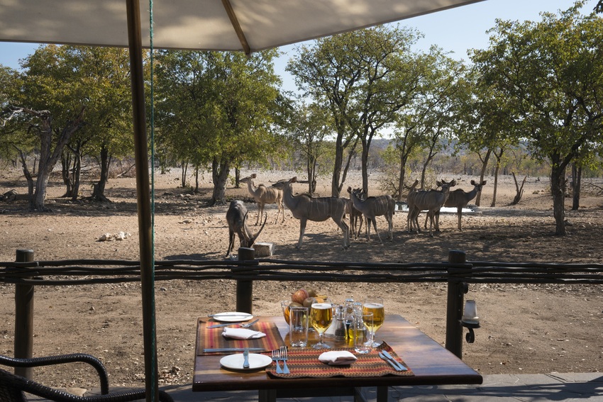 Ongava Tented Camp Etosha Namibia 40