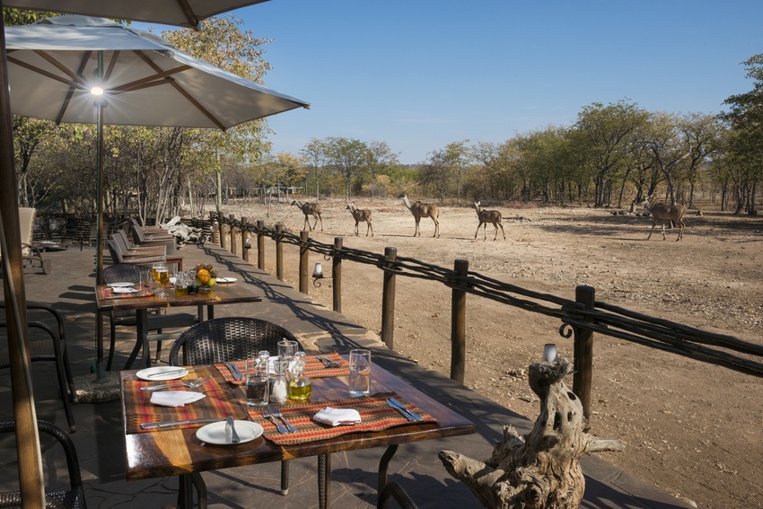 Ongava Tented Camp Etosha Namibia 41