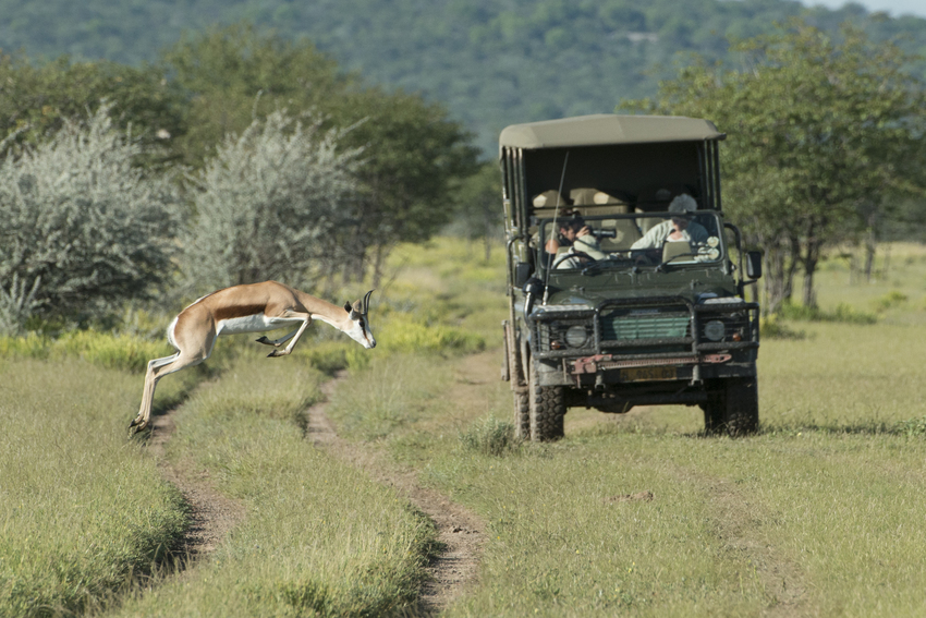 Ongava Tented Camp Etosha Namibia 46