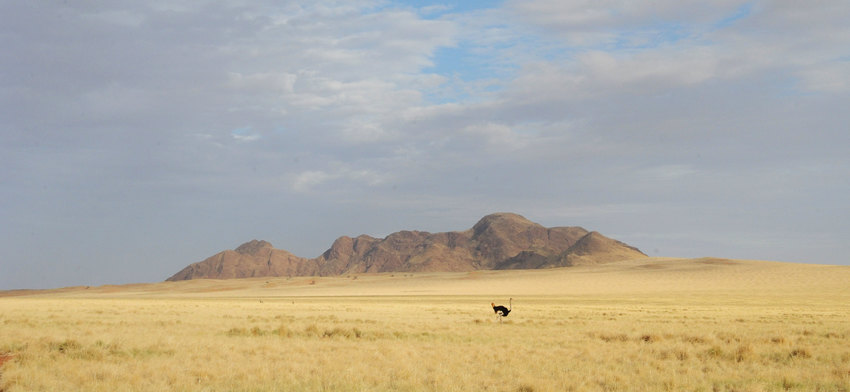 Wolwedans Dune Lodge Sossusvlei Namibia 25