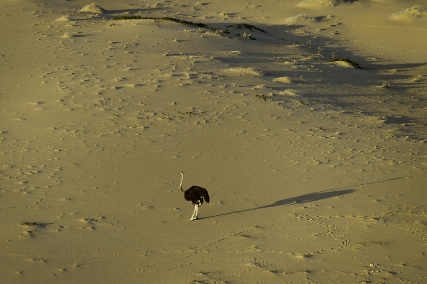 Serra Cafema Skeleton Coast Namibia 63