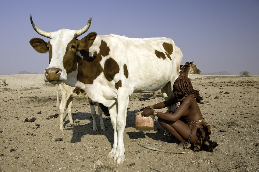 Serra Cafema Skeleton Coast Namibia 70