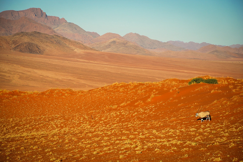 Wolwedans Dune Lodge Sossusvlei Namibia 37