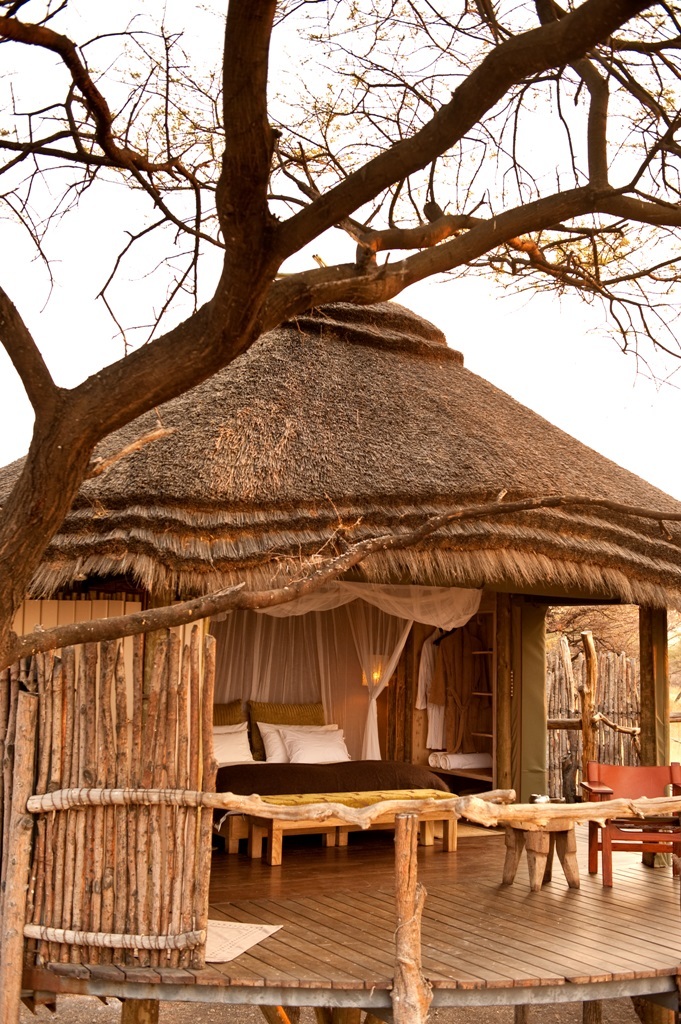 Onguma Tree Tops Etosha Namibia 4