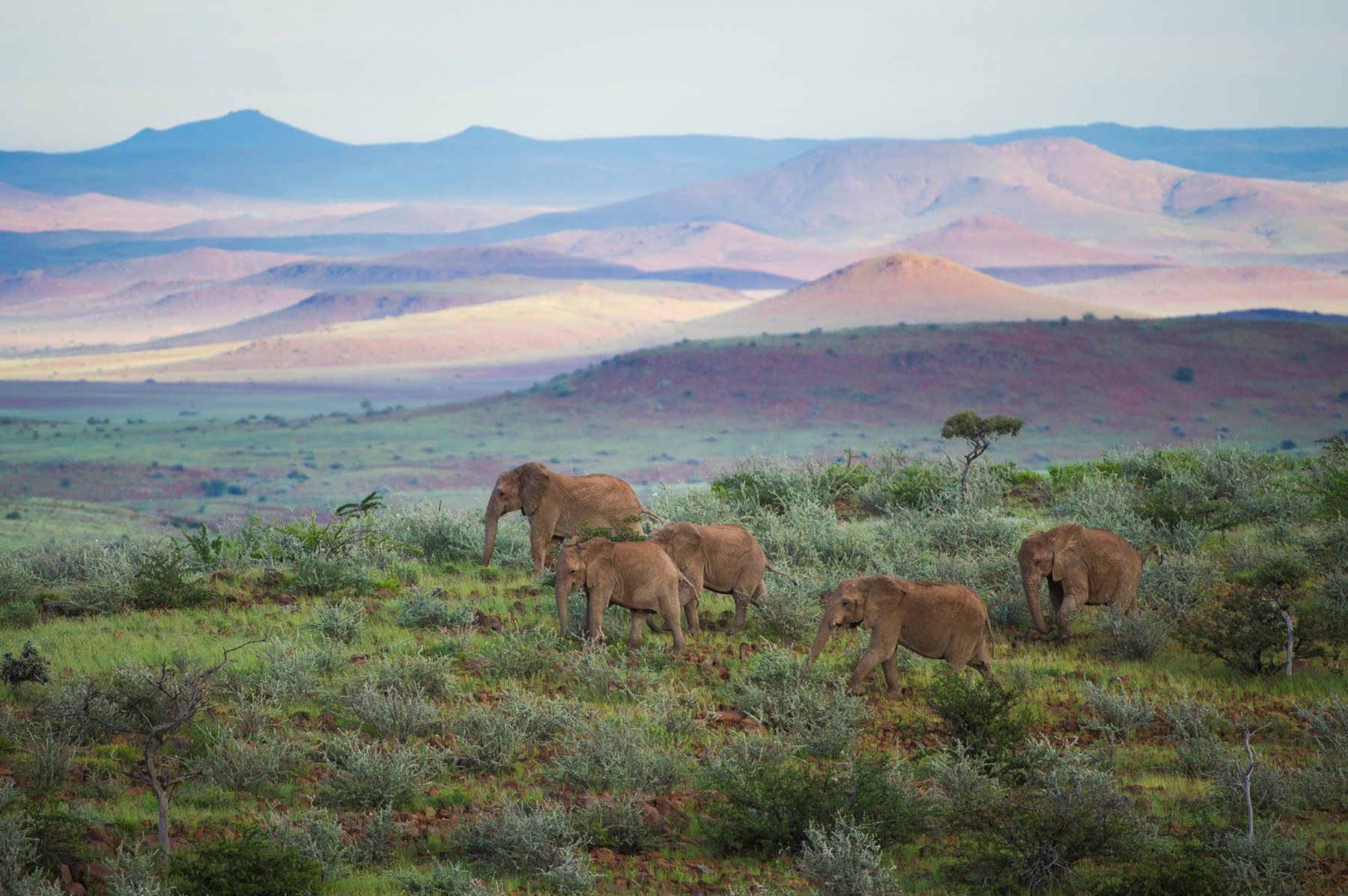 Namibia Damaraland Camp Damaraland Namibia 8