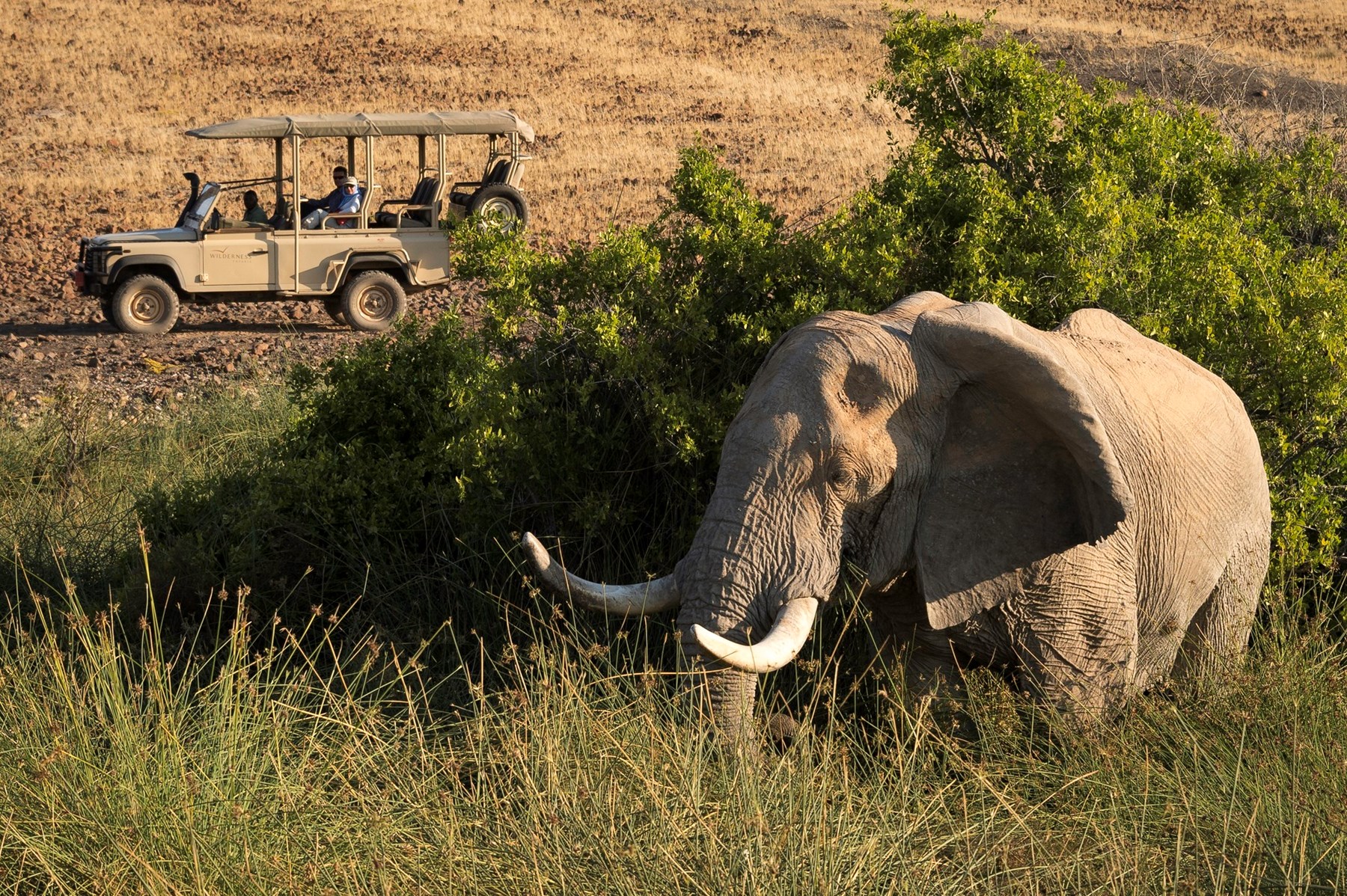 Namibia Desert Rhino Camp Damaraland Namibia 21