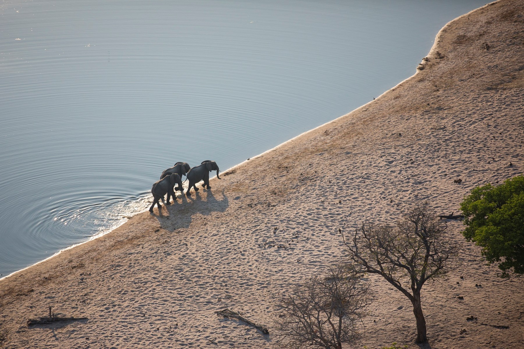 Namibia Nambwa Tented Lodge Bwabwata National Park Namibia 17 Nambwa Activities Elephants At Horseshoejpg