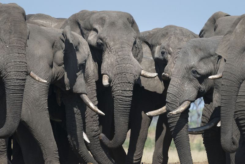 Sorris Sorris Damaraland Namibia 24