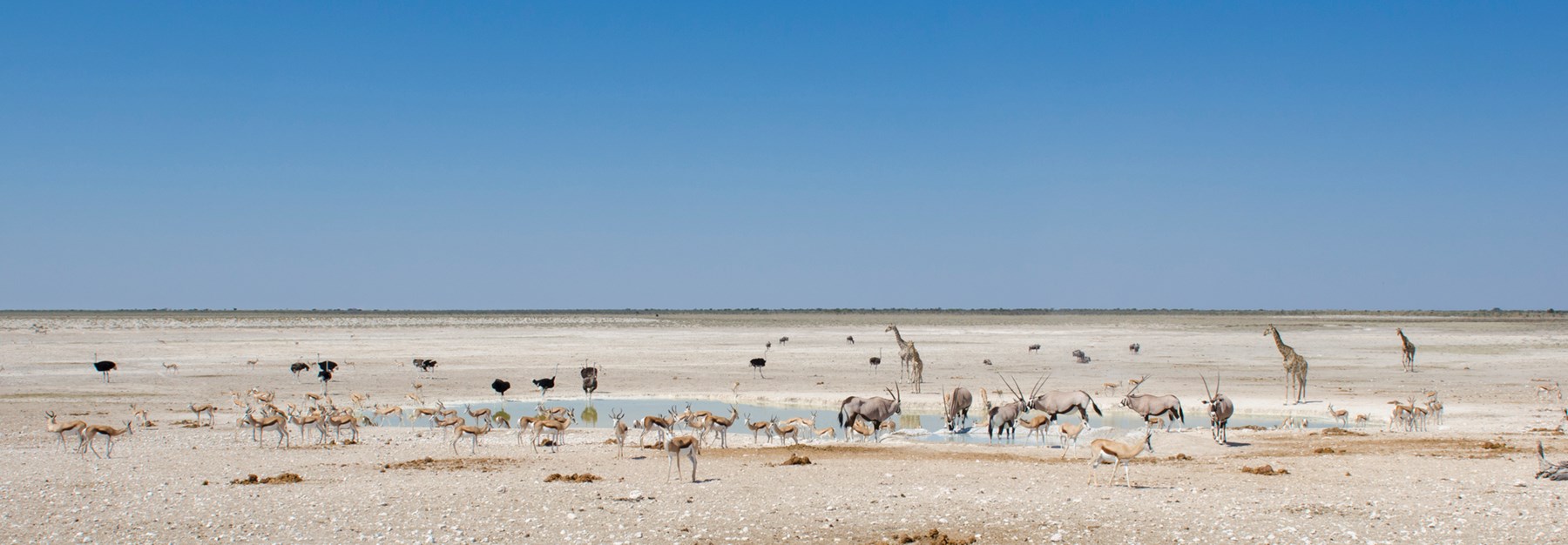 Namibia Ongava Tented Camp Etosha Namibia 14