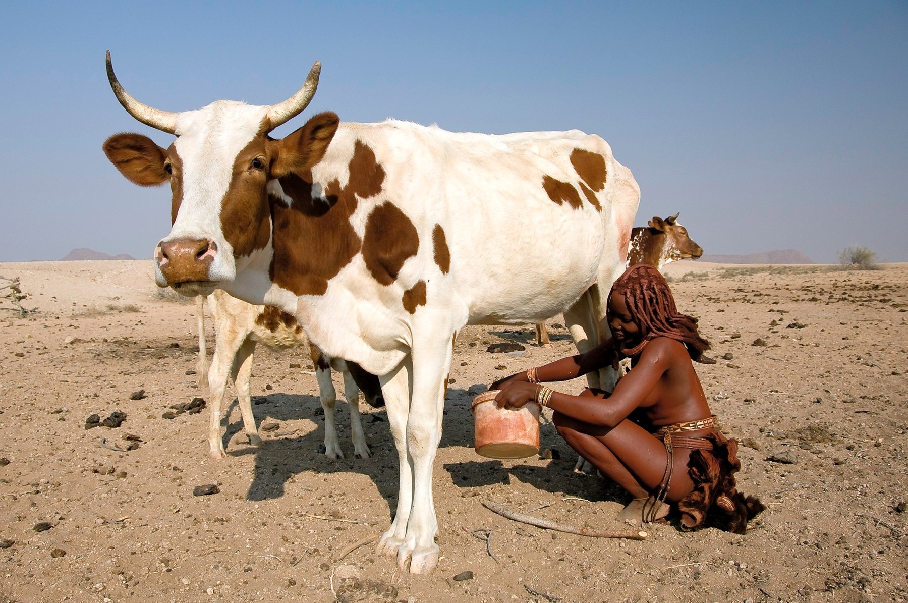Namibia Serra Cafema Skeleton Coast Namibia 70