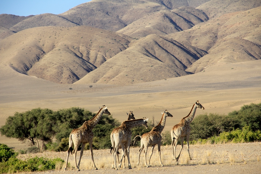 Okahirongo Skeleton Coast Namibia4jpg