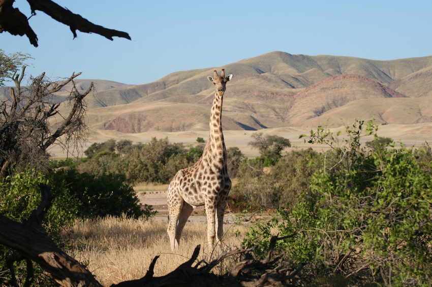 Okahirongo Skeleton Coast Namibia6