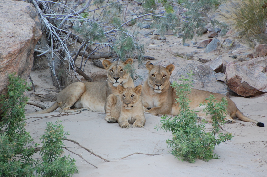 Okahirongo Skeleton Coast Namibia8