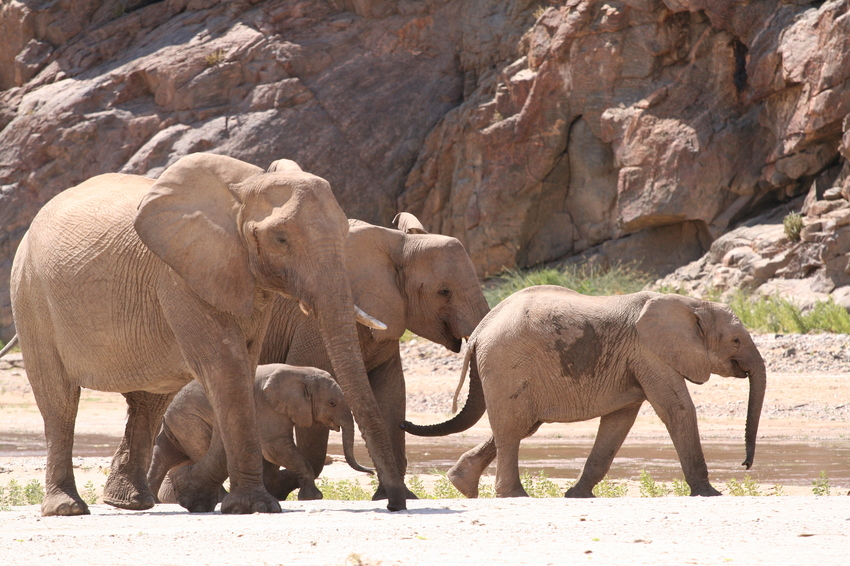 Okahirongo Skeleton Coast Namibia12