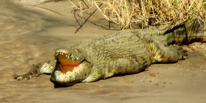 Okahirongo Skeleton Coast Namibia30jpg