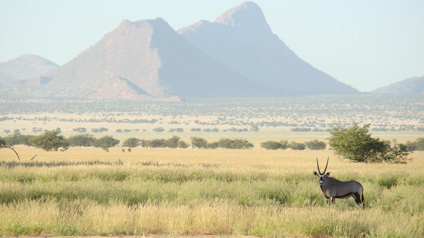 Okahirongo Skeleton Coast Namibia36