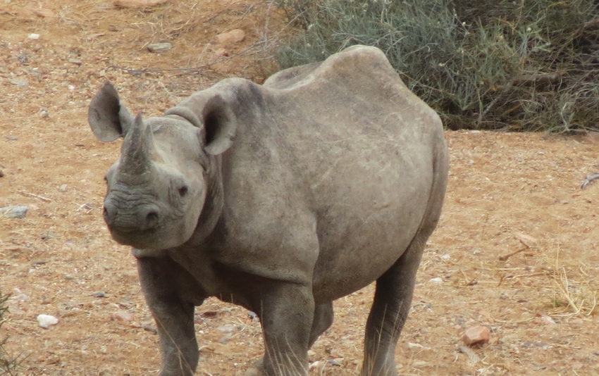 Okahirongo Skeleton Coast Namibia39jpg