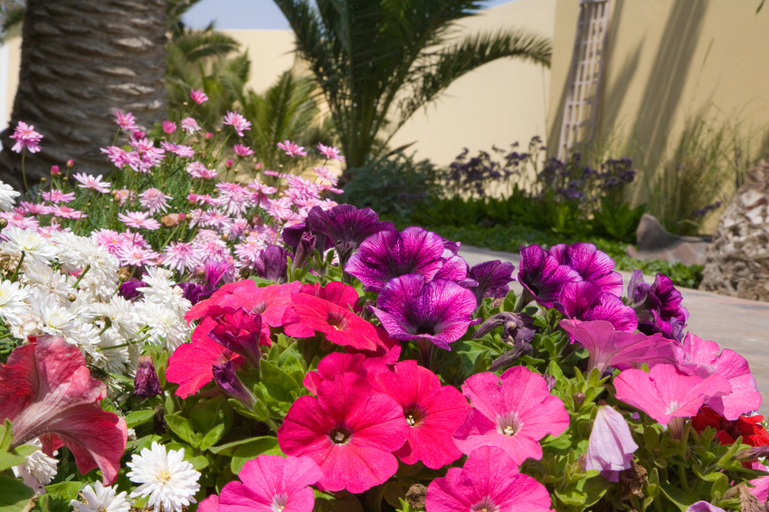 Cornerstone Guesthouse Skeleton Coast Namibia15