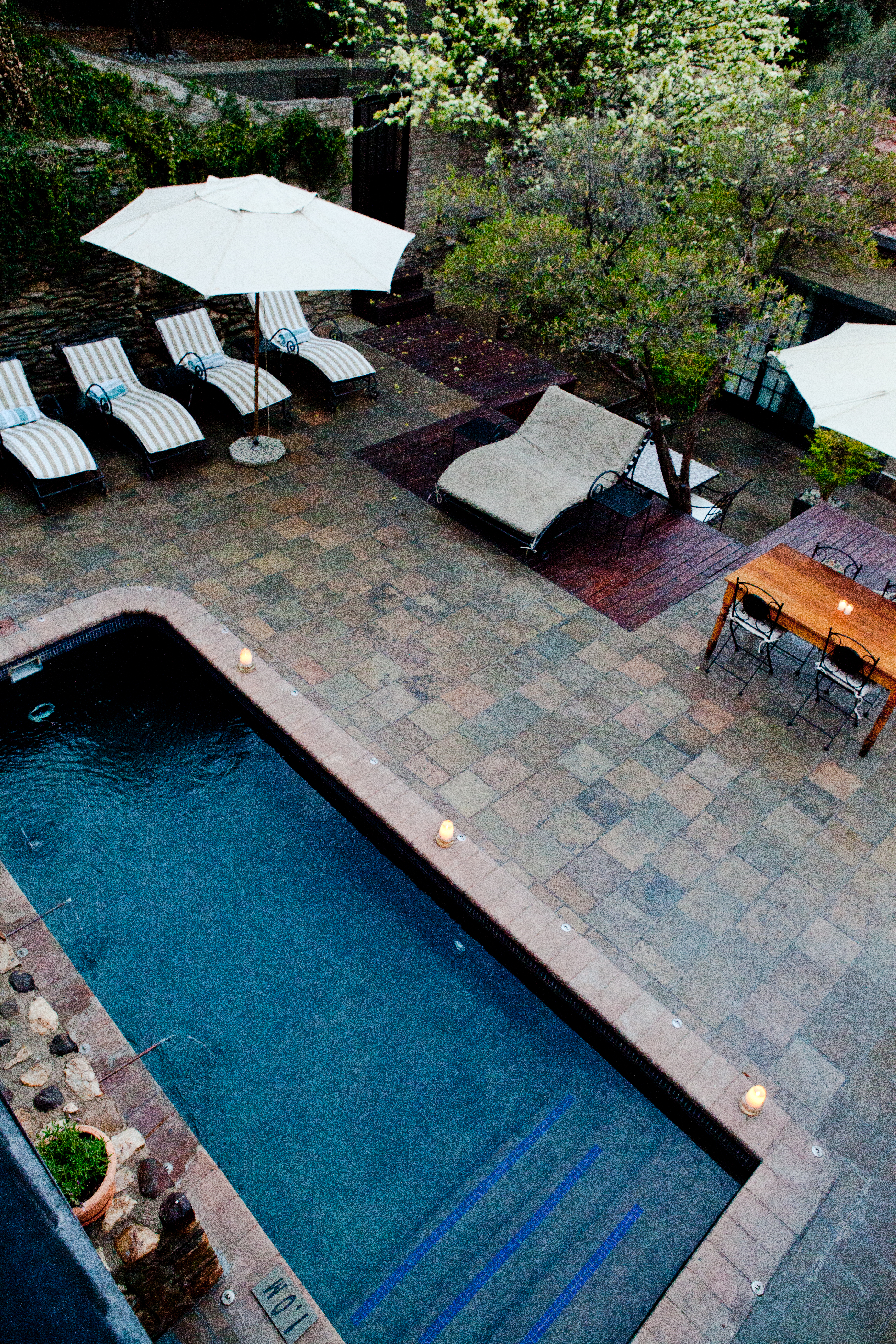 Olive Grove Guesthouse Windhoek Namibia35