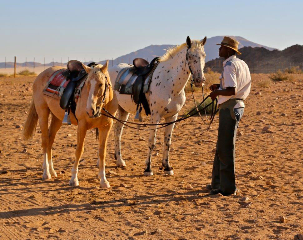 Desert Homestead Outpost Sossusvlei Namibia22